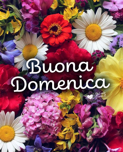 buona domenica immagini nuove gratis